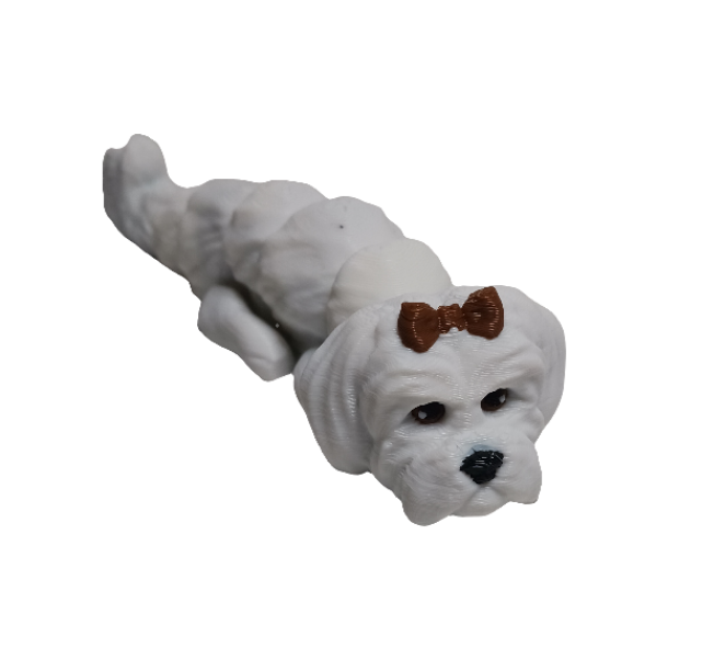 Dogs