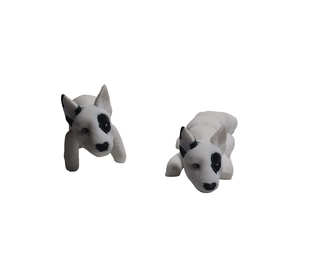 Dogs