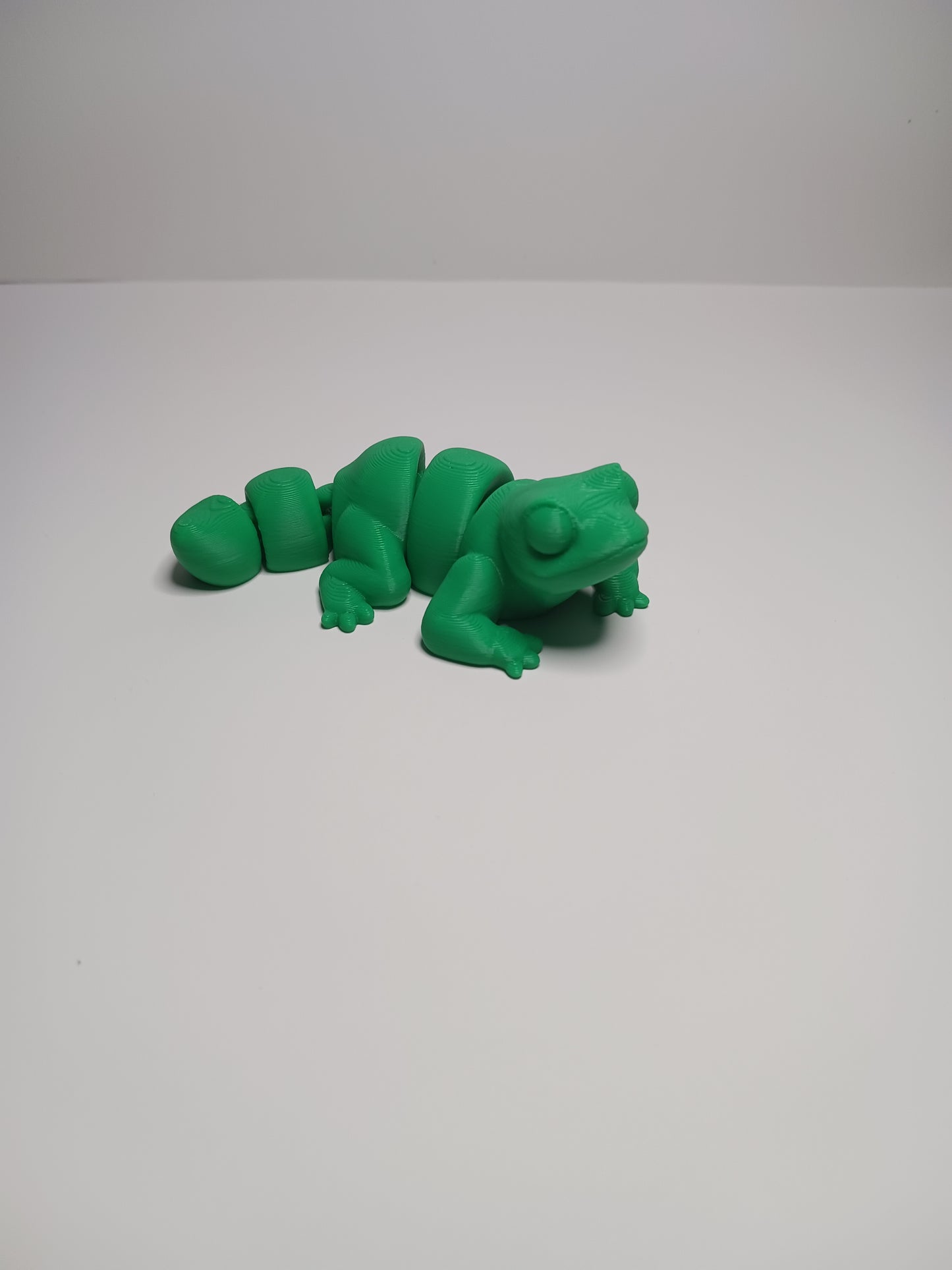 Lizard