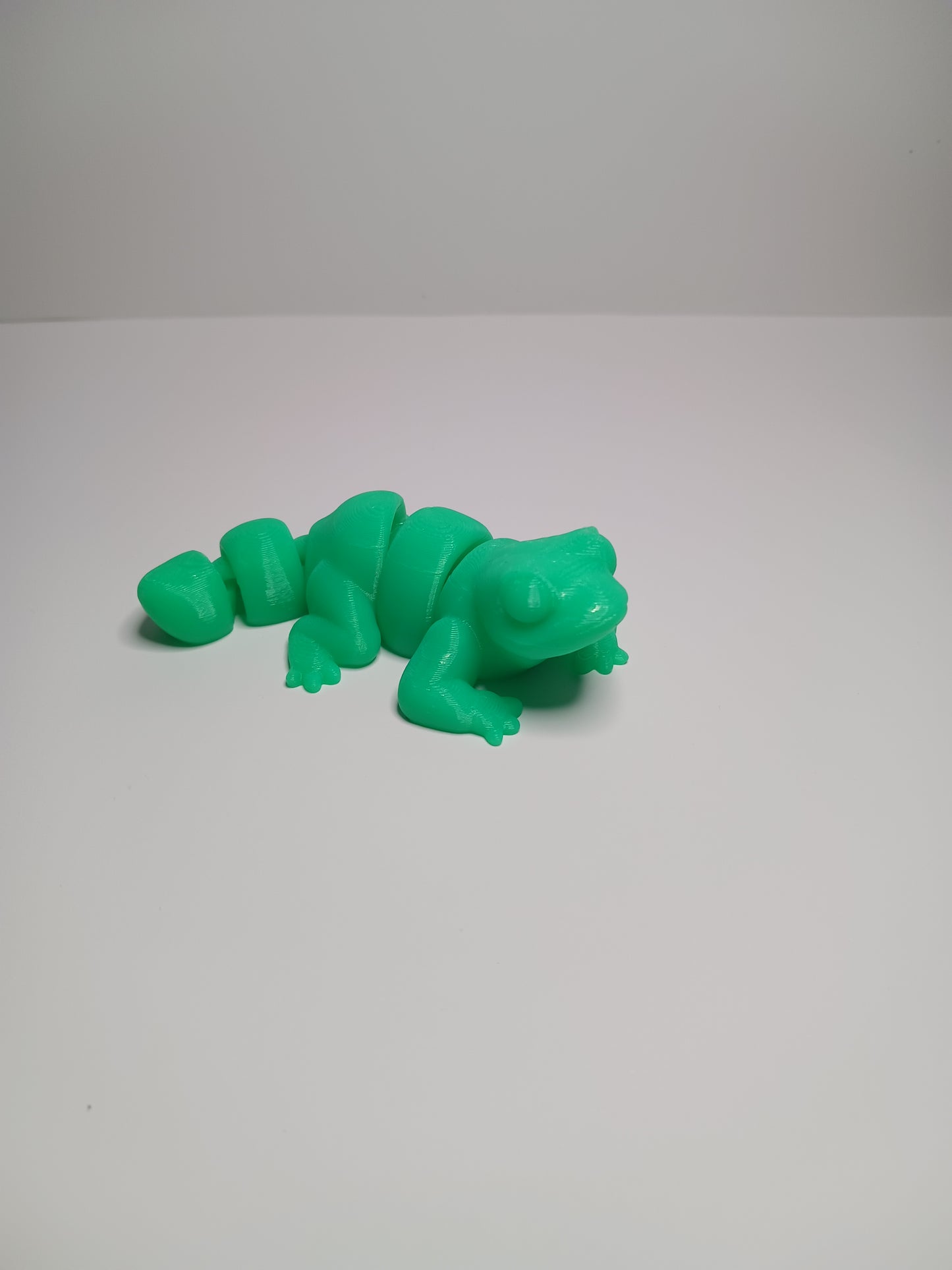 Lizard