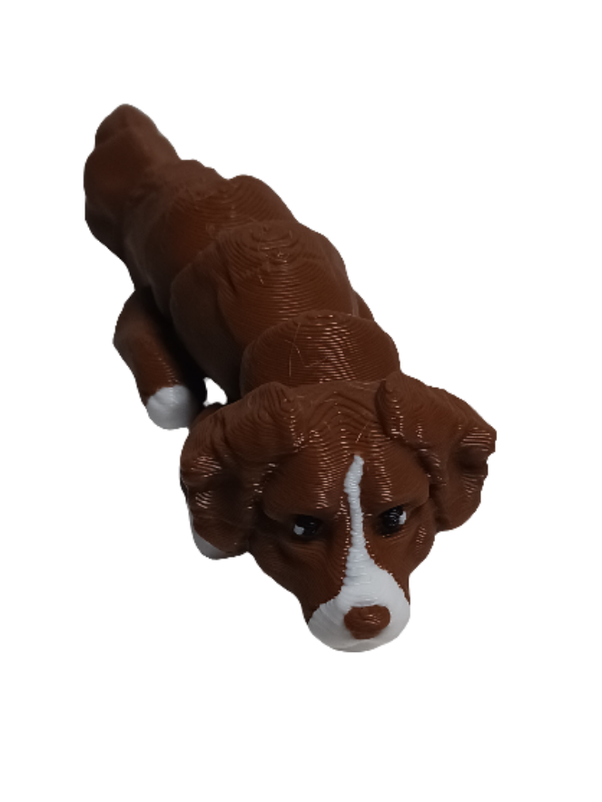 Dogs