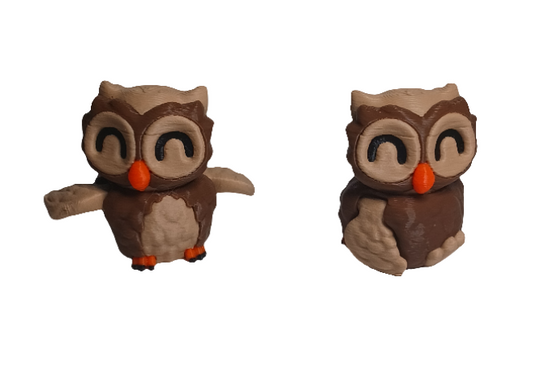 Owl