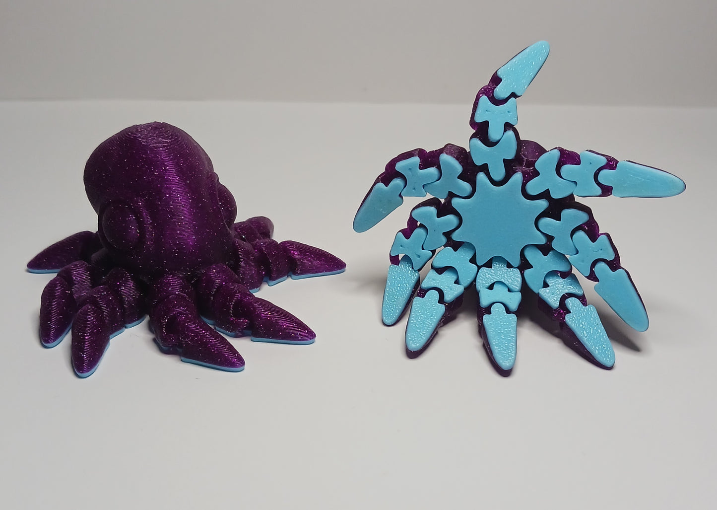 Octopus