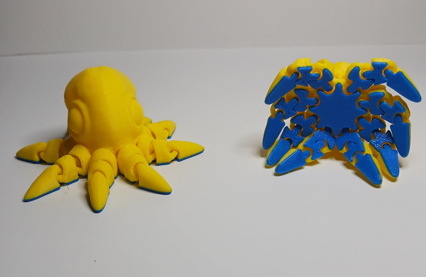Octopus