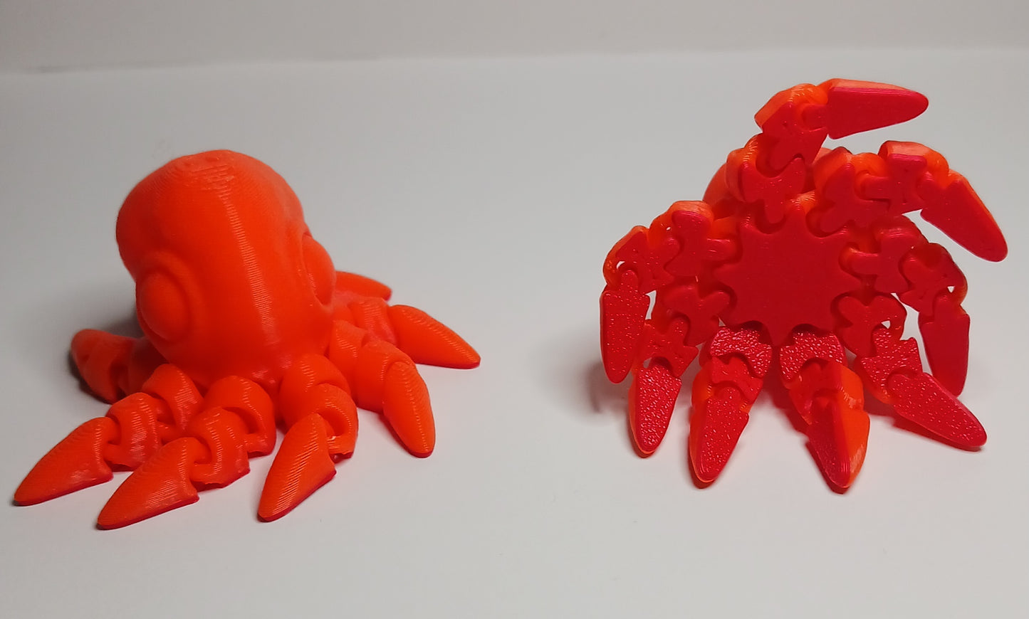 Octopus