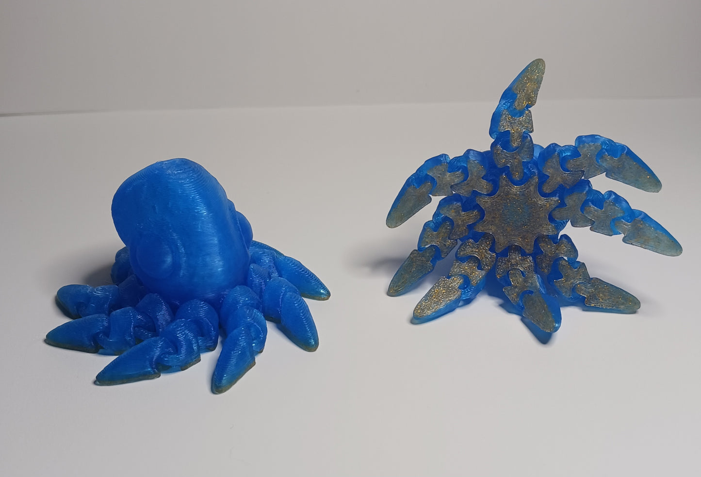 Octopus